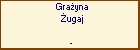 Grayna ugaj