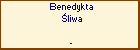 Benedykta liwa