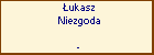 ukasz Niezgoda