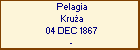 Pelagia Krua