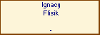 Ignacy Flisik