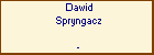 Dawid Spryngacz