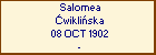 Salomea wikliska