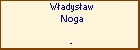 Wadysaw Noga